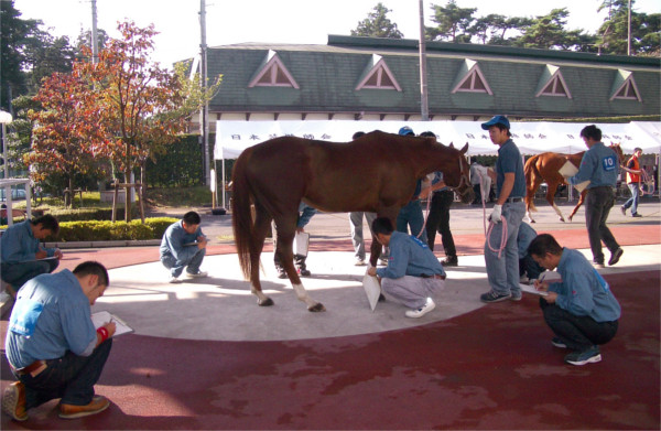 Japan national farrier competition